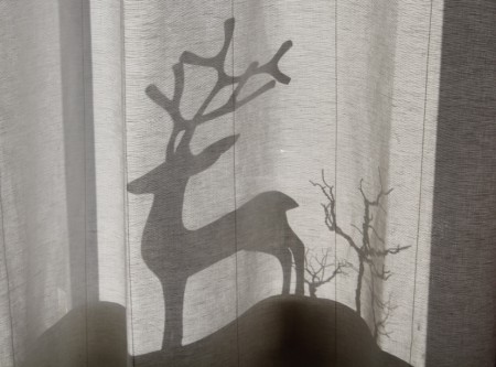 Siluett från en gardin