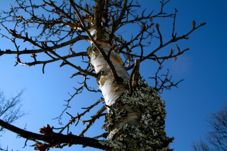 Fast i jorden, fast i tiden