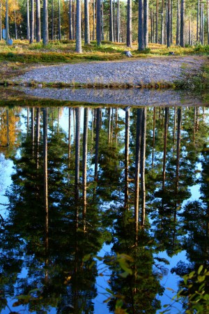 Ännu ser vi en gåtfull spegelbild