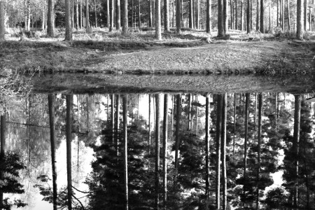 På gott och ont, världens dubbelhet